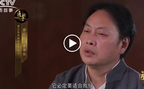 書(shū)法與建筑視頻